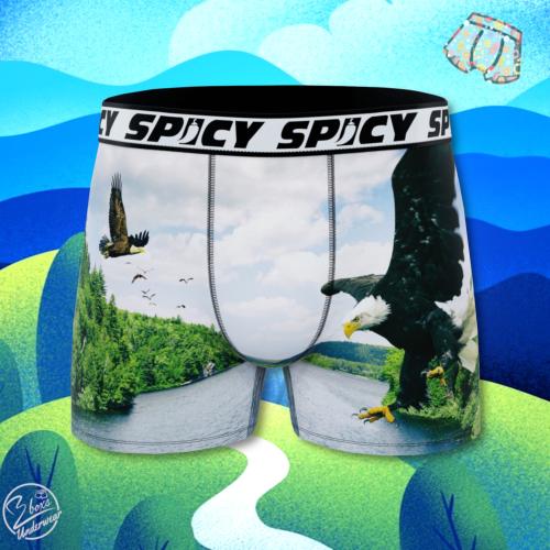 Boxer Spicy |motif Aigle