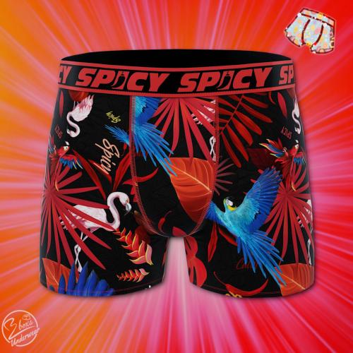 Boxer Spicy |Perroquets |&#129436;