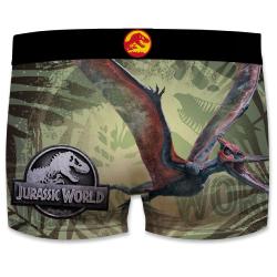 Boxer Enfant Fantaisie Jurassic pteranodon