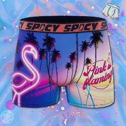 Boxer Spicy |motif Flamant | 🦩