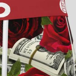 Boxer PSD |Red ROSES 🌺