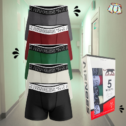 5 Boxers en Coffret Airness | Pro Colors