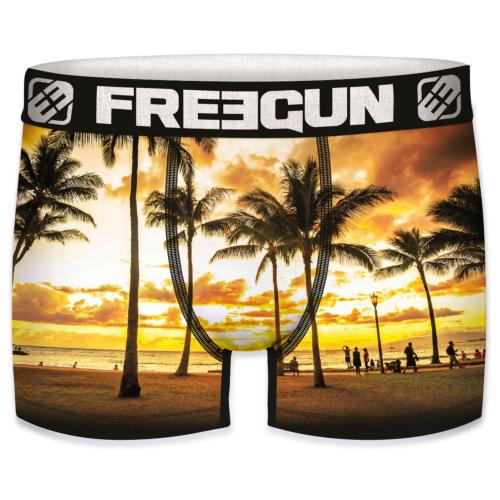 Boxer Fantaisie Freegun sunny