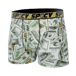 Boxer Spicy |motif Dollars 💵