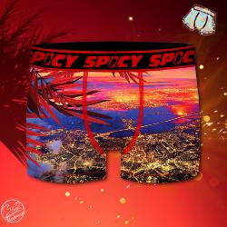 Boxer Spicy |motif Ville | &#127961;&#65039;