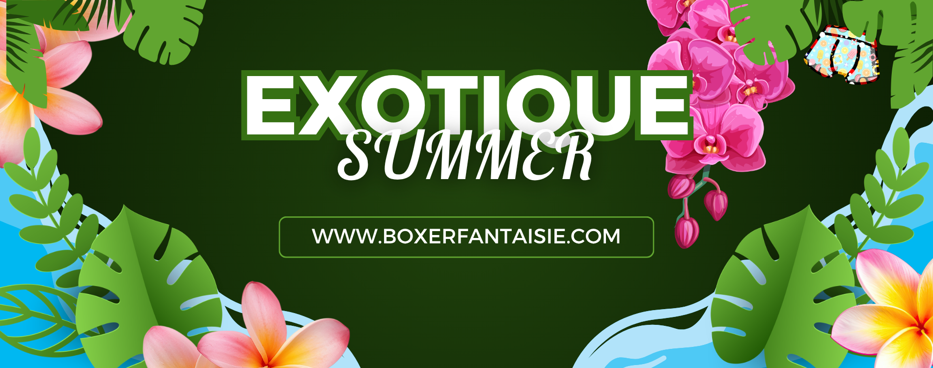 boxer rubrique voiture chez boxer fantaisie