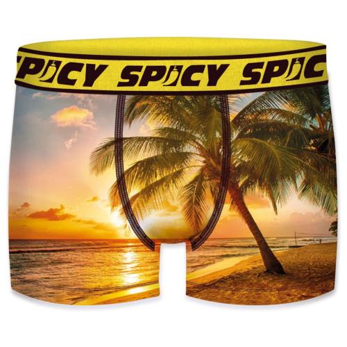 Boxer Spicy |motif California paradise