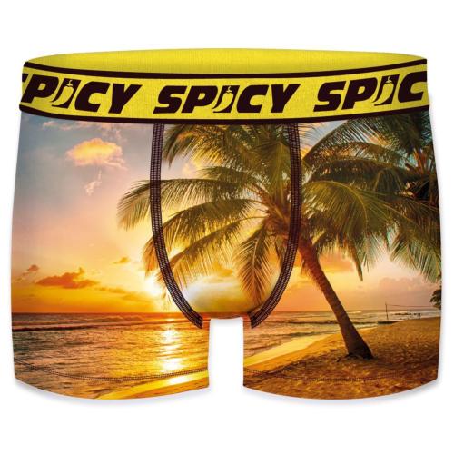 Boxer Spicy |motif California paradise | &#127965;&#65039;