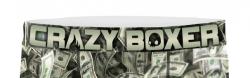 Boxer CRAZYBOXER |Dollars  &#x1F4B5