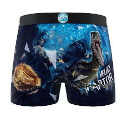 Boxer Enfant | Jurassic Raptor