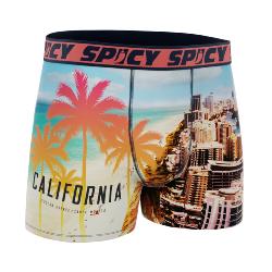 Boxer Spicy |California surf | &#127753;