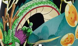 Boxer Fantaisie Freegun Dragon ball Dragon