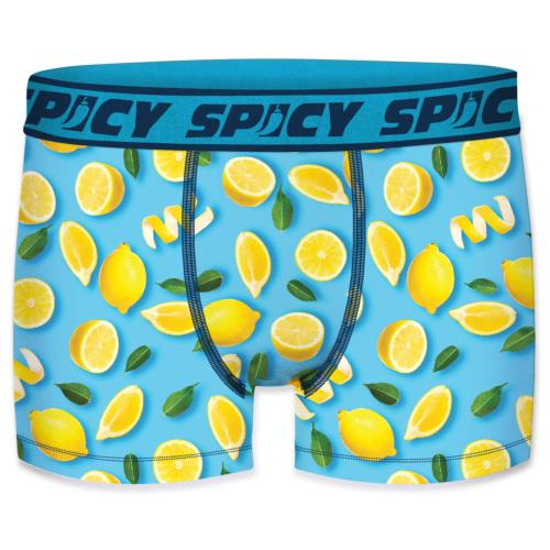 Boxer Spicy |motif Citron