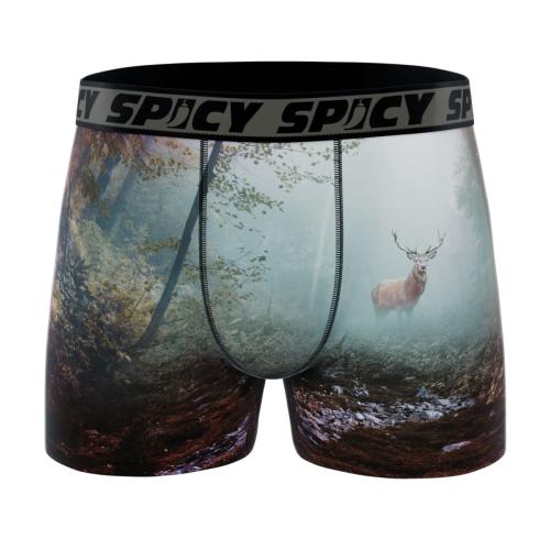 Boxer Spicy |motif Foret 