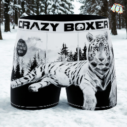 Boxer Crazyboxer | Tigre Blanc ⛄