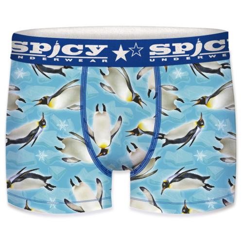 Boxer Spicy |motif Pingouins