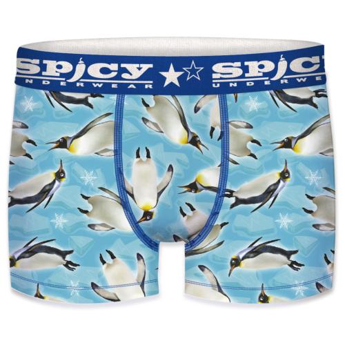 Boxer Spicy |motif Pingouins | &#128039;