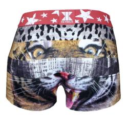 Boxer Nopublik |Motif The Legend 