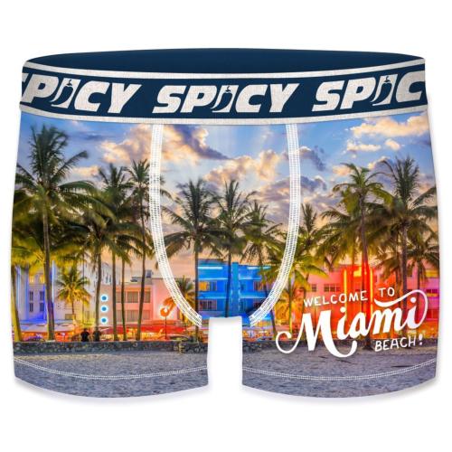 Boxer Spicy |motif Miami