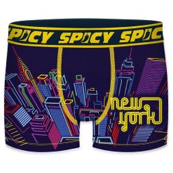 Boxer Spicy |motif Night