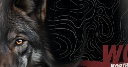 Boxer Homme |Freegun| Wolf 🐺