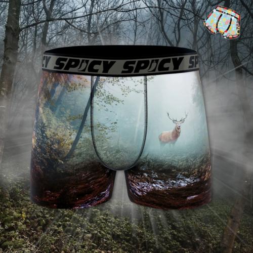 Boxer Spicy |motif Natural