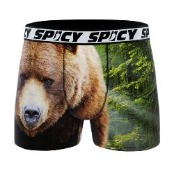Boxer Spicy |motif Ours
