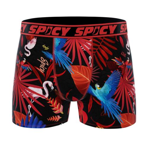 Boxer Spicy |Perroquets |&#129436;