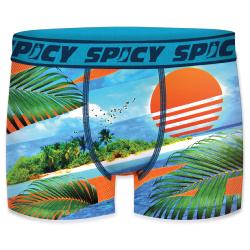 Boxer Spicy |motif Sun Sea