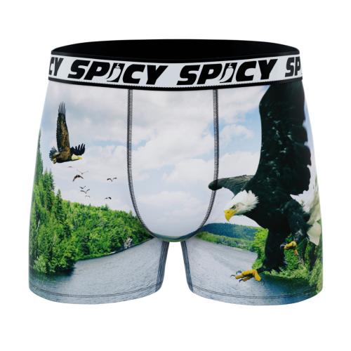 Boxer Spicy |motif Aigle