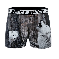 Boxer Spicy |motif Wolf| 🐺