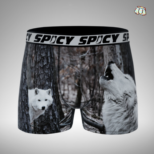 Boxer Spicy |motif Wolf| 🐺