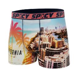 Boxer Spicy |California surf | &#127753;