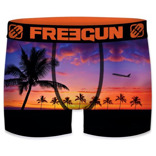Boxer Fantaisie Freegun plane sunny