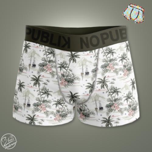 Boxer Nopublik | Motif Landscape