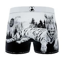 Boxer Crazyboxer | Tigre Blanc ⛄