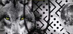 Boxer Fantaisie Freegun Loup psy