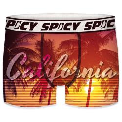 Boxer Spicy |motif California bis| &#127965;&#65039;