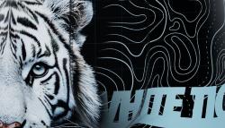 Boxer Homme |Freegun| Tigre Blanc 🐯