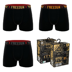 Coffret 3 Boxers Hyraw by Freegun en Coton