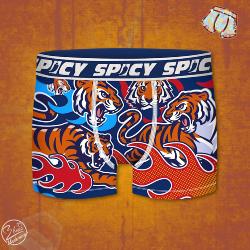 Boxer Spicy |motif Tigre | &#128047;